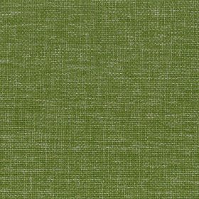 AI8 Green
