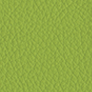 Groen SE 1011