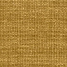AD7 Mustard